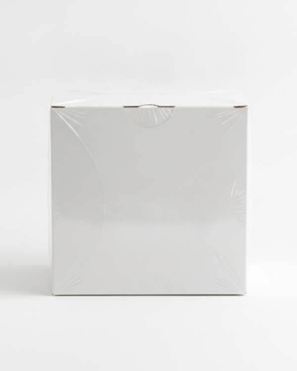 Disposable Tie-Back Isolation Gown – Box of 10
